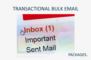 Dedicated Bulk Email Service Providers, Dedicated Bulk Mail Server, Pramotional Service Provider, Transactional Email Service, Transactional Email Service Providers